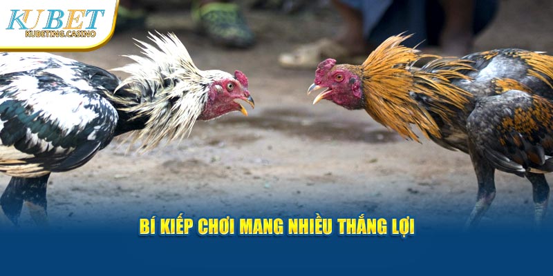 Bí kíp chơi mang nhiều thắng lợi