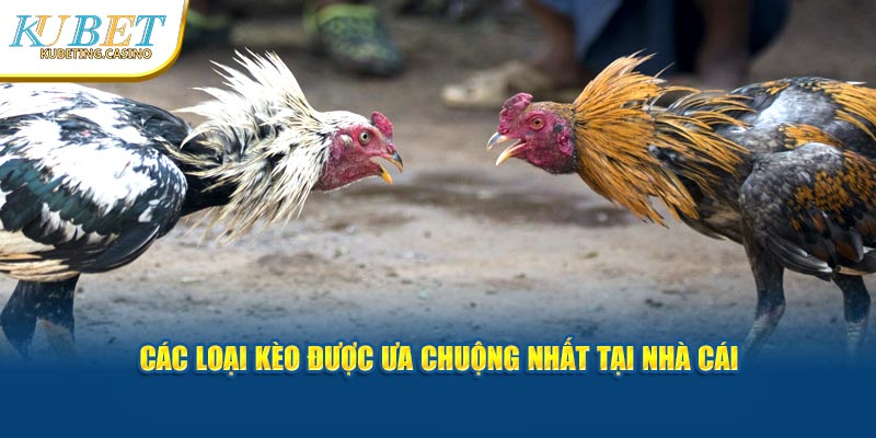 Các loại kèo thường thấy nhất tại nhà cái