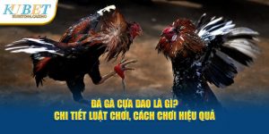 Kubet - Cách Chơi và Hướng Dẫn Chi Tiết Đá Gà Cựa Dao