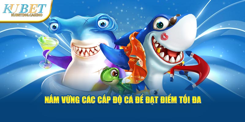 Lý do của việc xác định chiến thuật cẩn thận