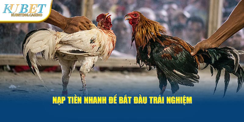 Nạp tiền nhanh để bắt đầu trải nghiệm