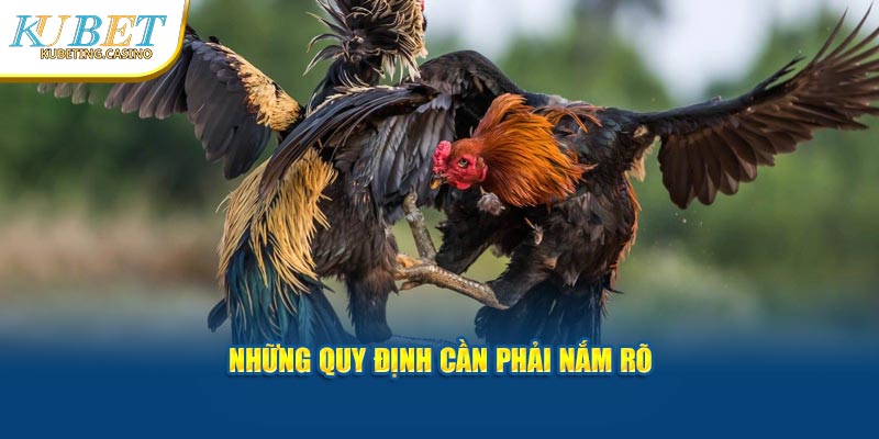 Những quy định cần phải nắm rõ