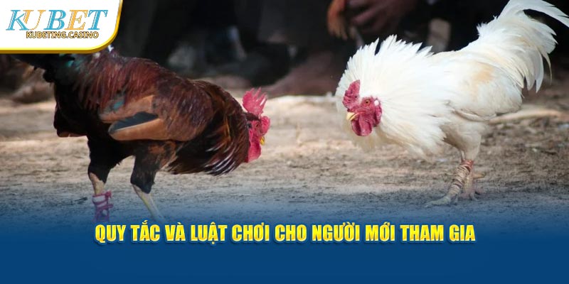 Quy tắc và luật chơi cho người mới tham gia