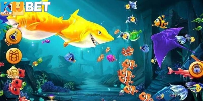 Người chơi nên đánh giá tốc độ di chuyển của từng loài cá